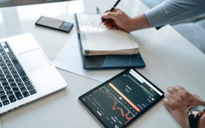 ¿Canibalización SEO?