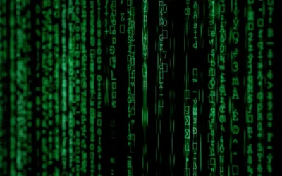 ¿Cuáles son los principales algoritmos de Google?